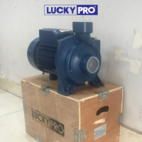 MÁY BƠM NƯỚC LUCKY PRO 2HP HỌNG 114