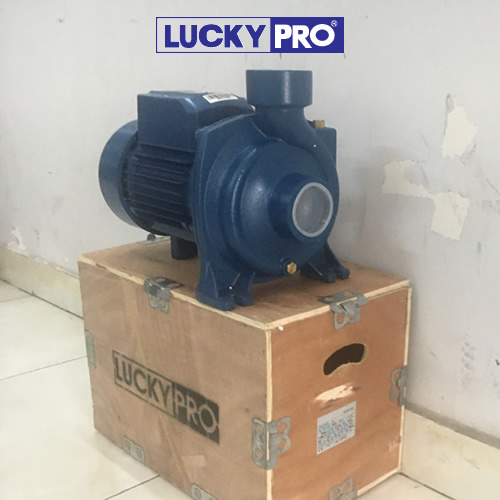 MÁY BƠM NƯỚC LUCKY PRO 2HP HỌNG 90