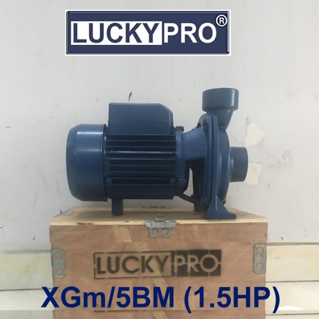 MÁY BƠM NƯỚC LUCKY PRO XGm/5BM