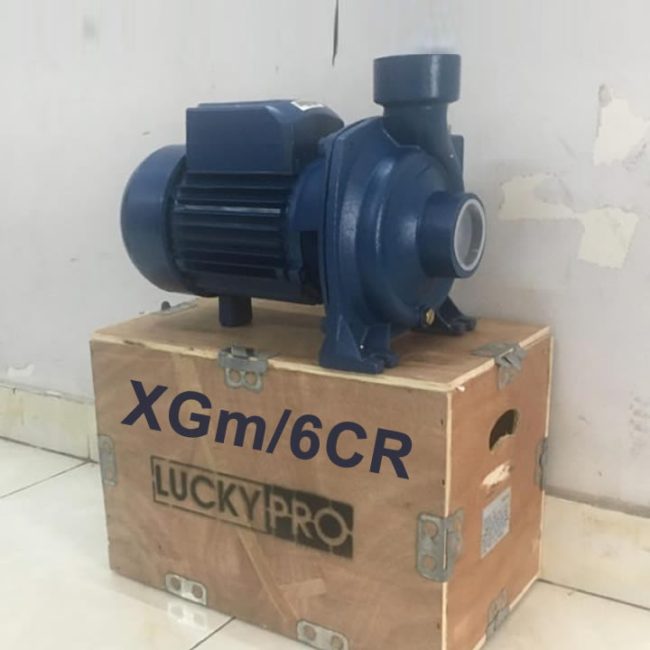 MÁY BƠM LUCKY PRO 1.5HP HỌNG 114